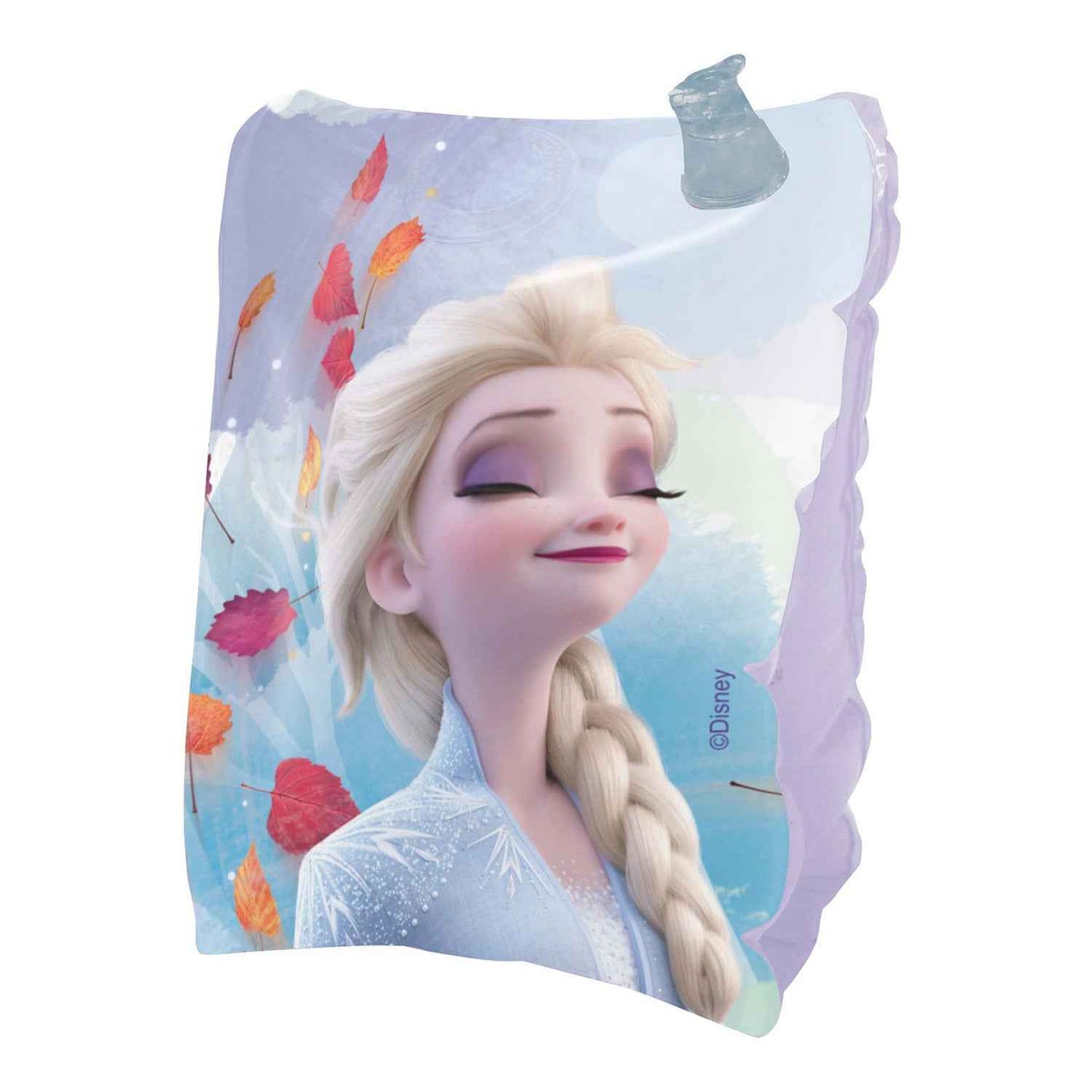 Flotador Alitas 20x15 cm | Frozen Disney