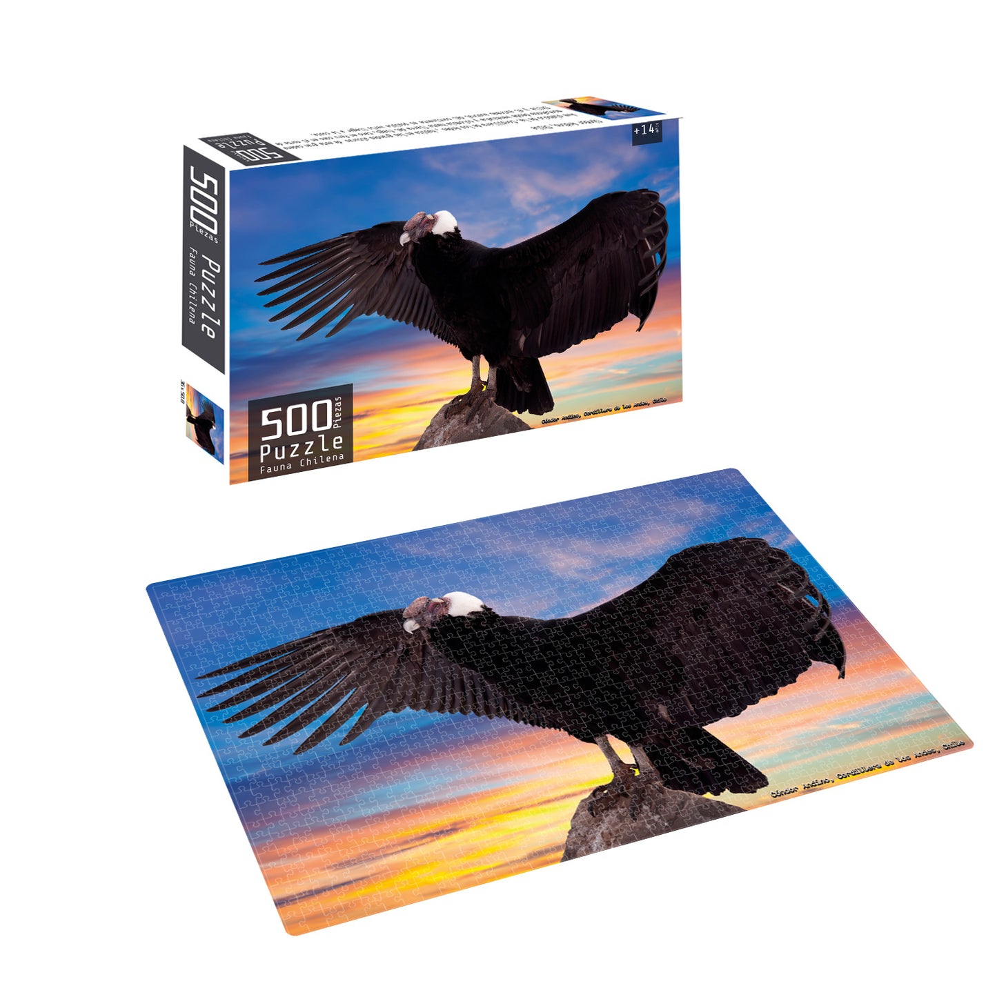 Puzzle 500 Piezas Fauna Chilena Condor | Nobel Gift