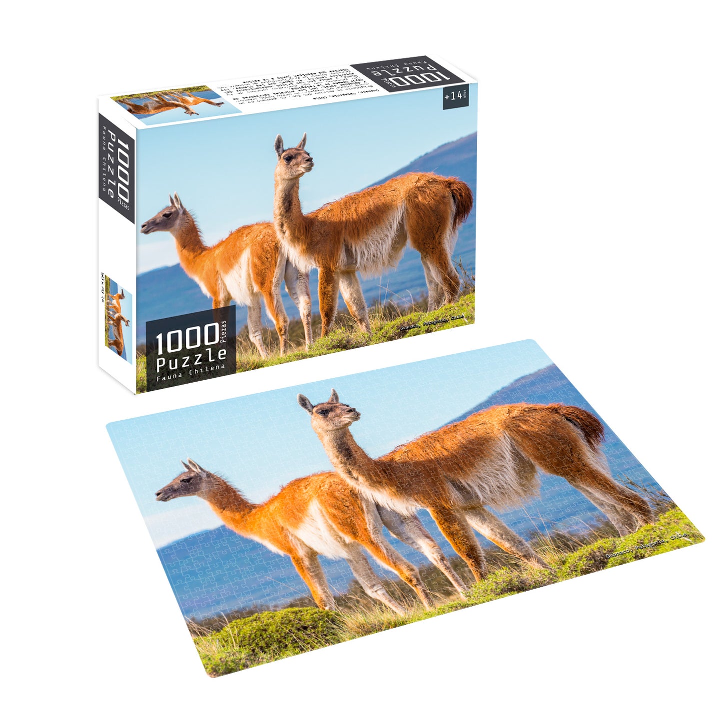 Puzzle 1000 Piezas Fauna Chilena Guanaco | Nobel Gift