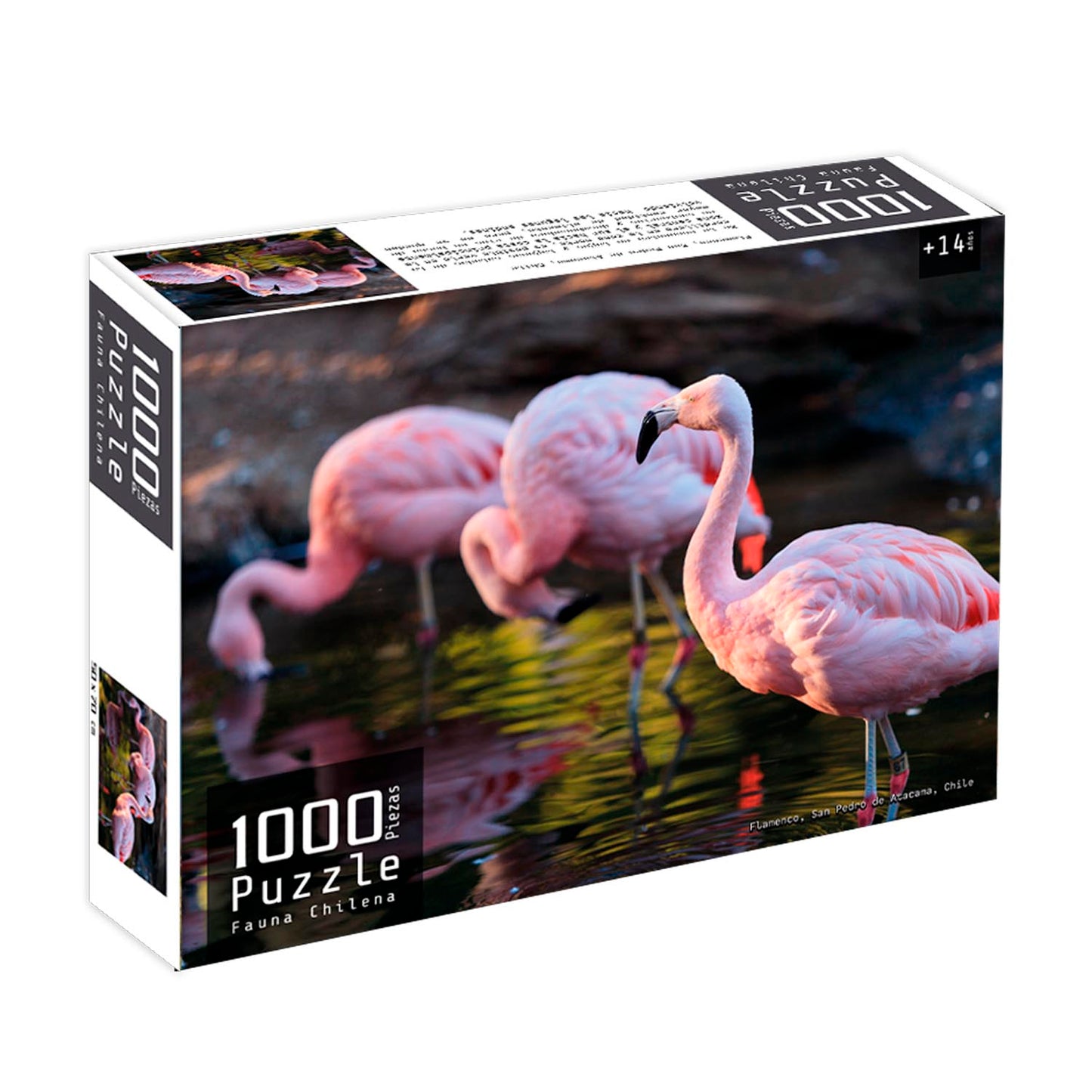 Puzzle 1000 Piezas Fauna Chilena | Nobel Gift