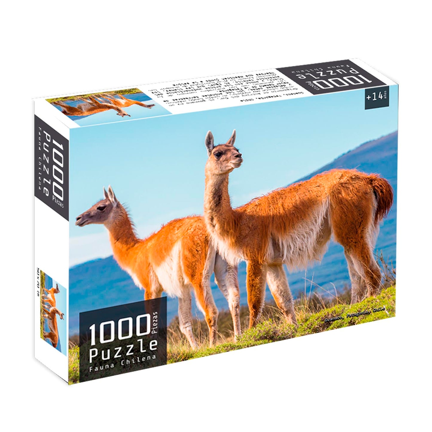 Puzzle 1000 Piezas Fauna Chilena | Nobel Gift