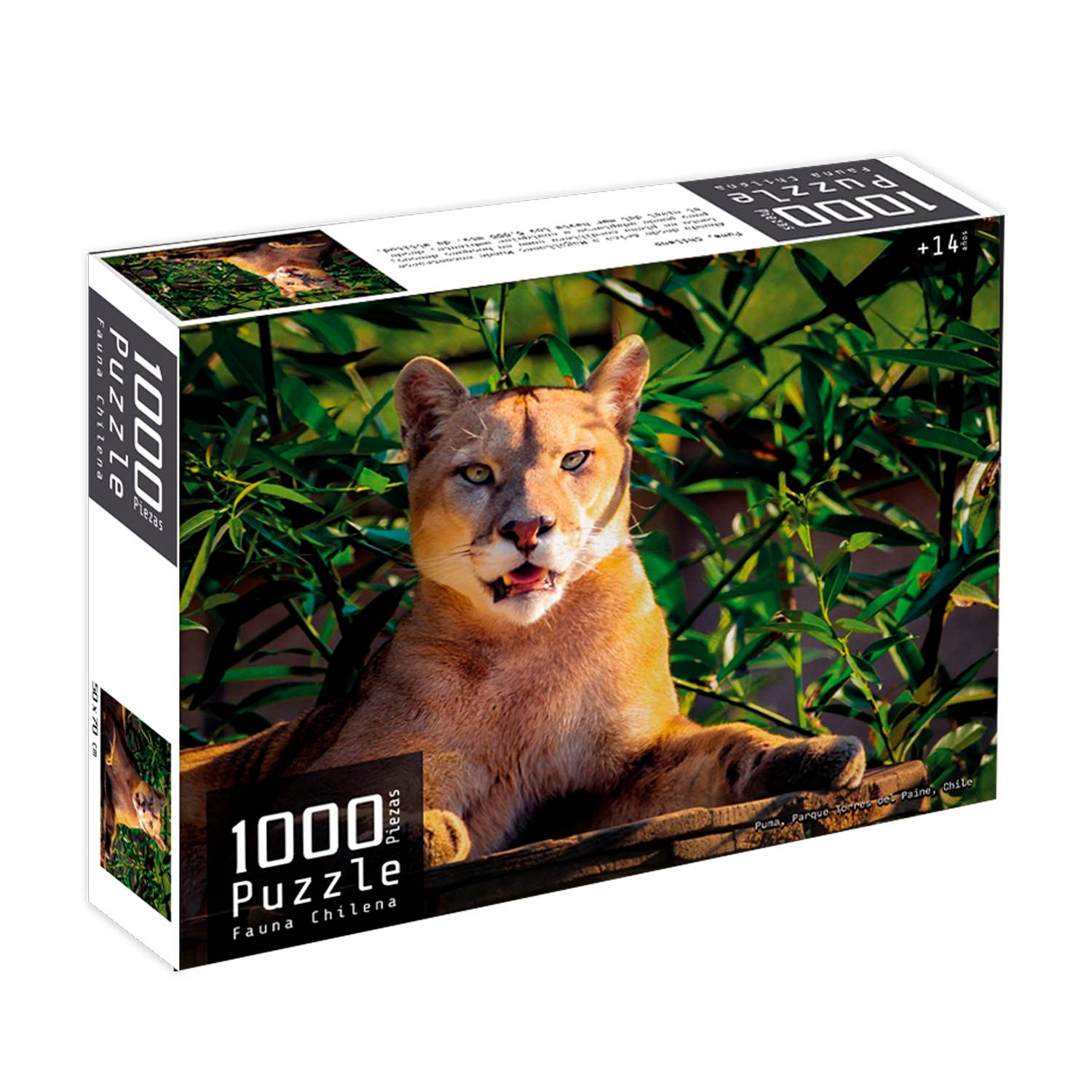 Puzzle 1000 Piezas Fauna Chilena | Nobel Gift