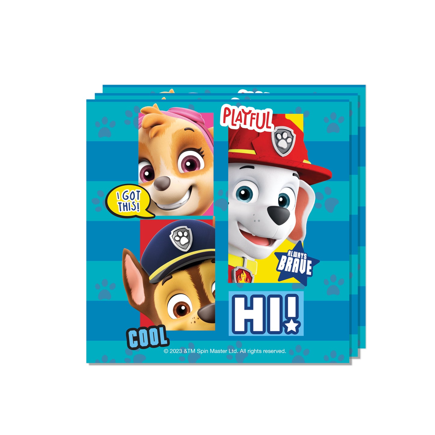 Set Cumpleaños para 6 Personas | Paw Patrol