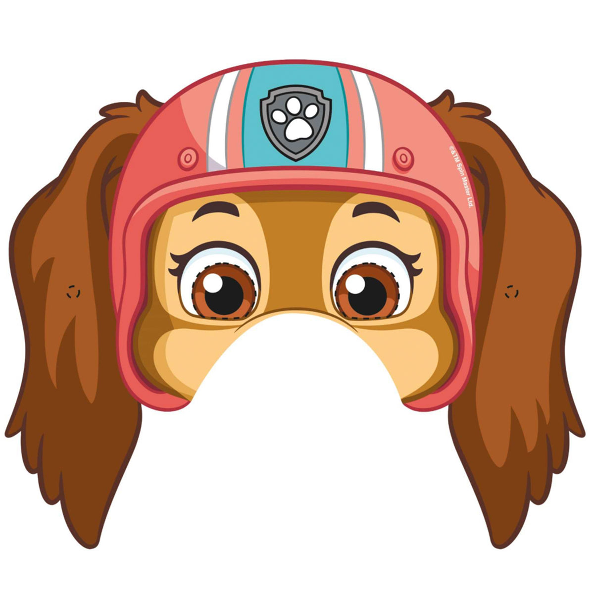Mascaras Skye 6 Un | Paw Patrol