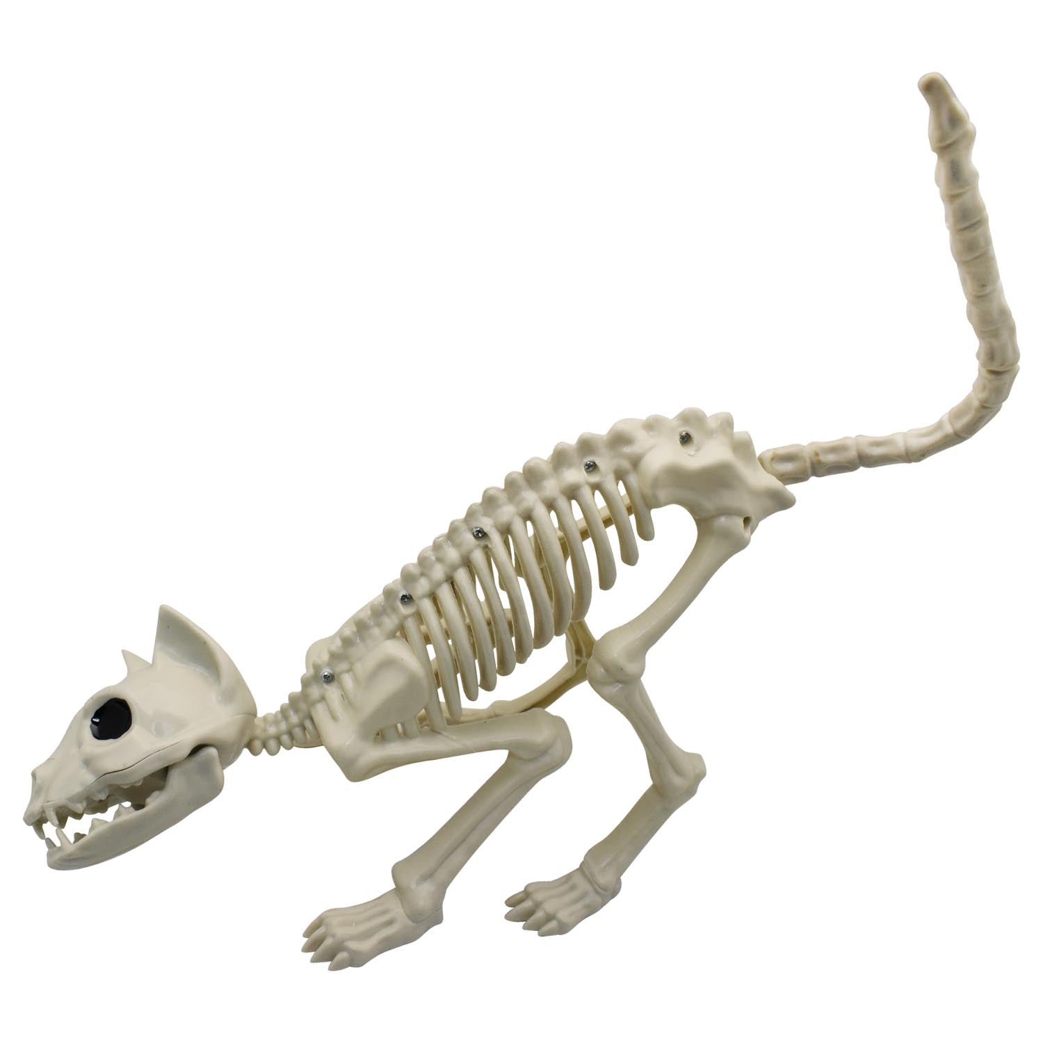 Esqueleto Gato 48x18 cm Halloween | Big Party