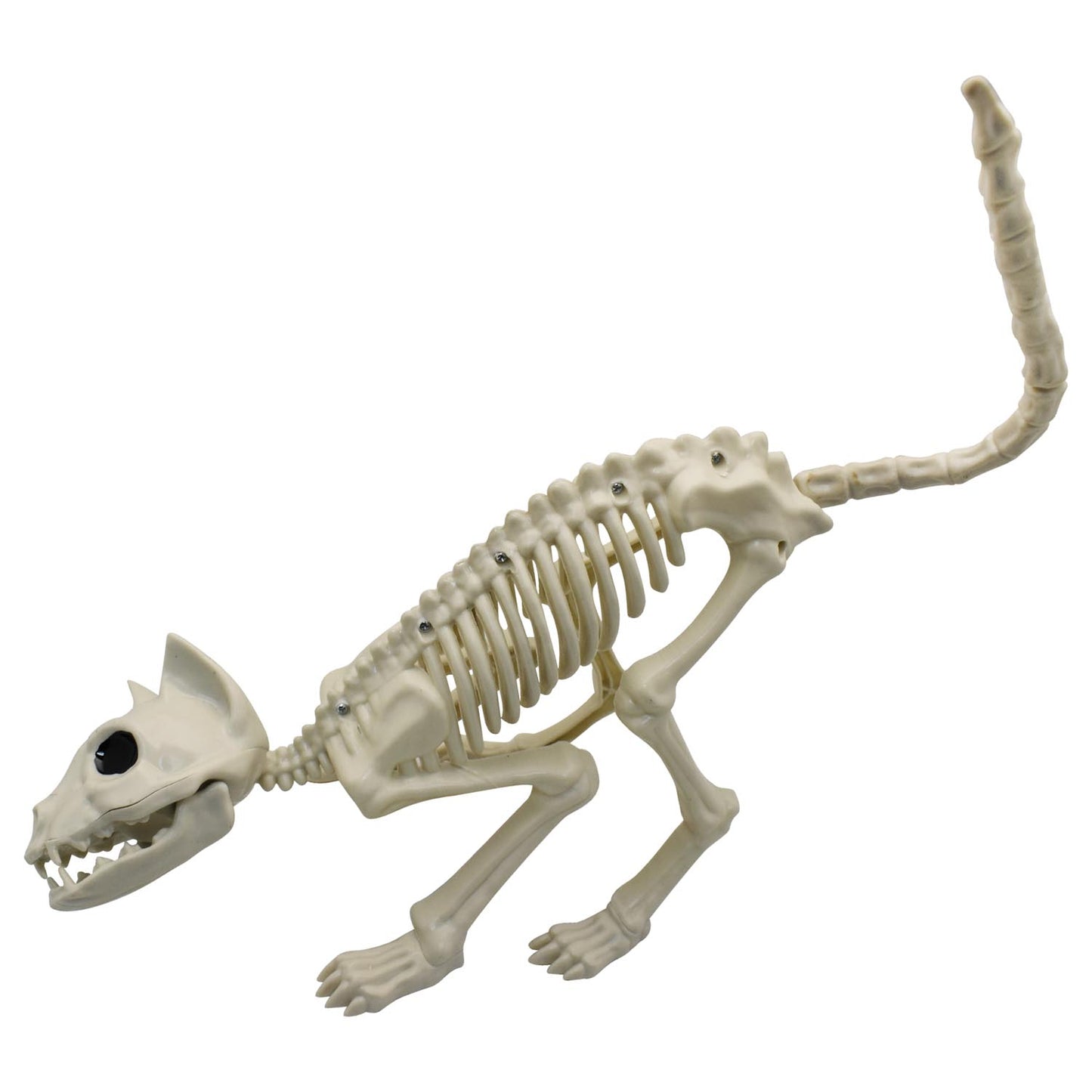 Esqueleto Gato 48x18 cm Halloween | Big Party