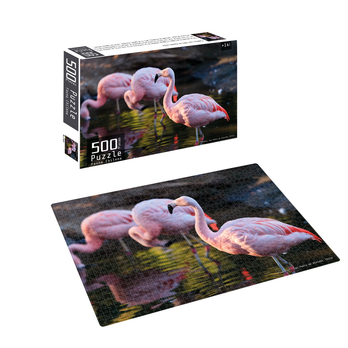 Puzzle 500 Piezas Fauna Chilena Flamenco | Nobel Gift