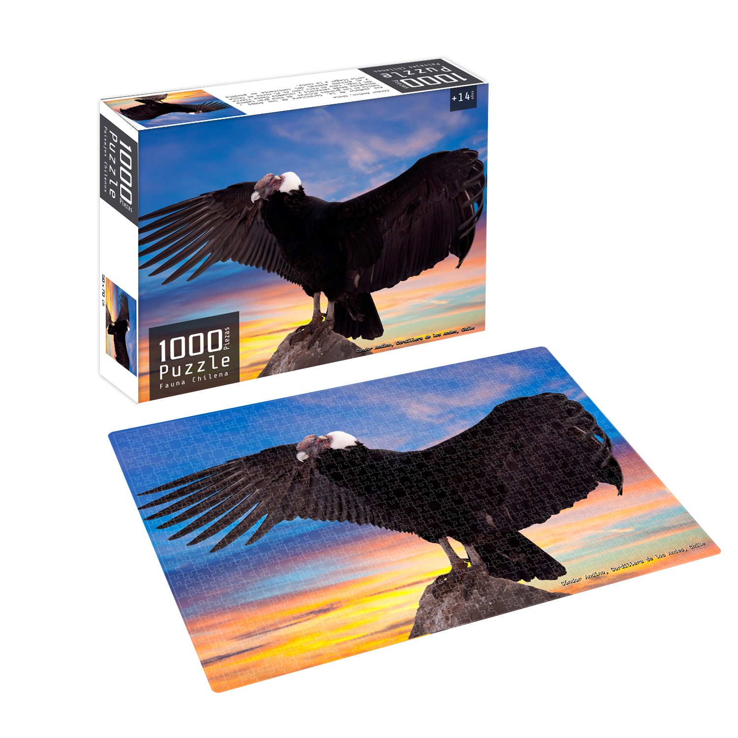 Puzzle 1000 Piezas Fauna Chilena Condor | Nobel Gift