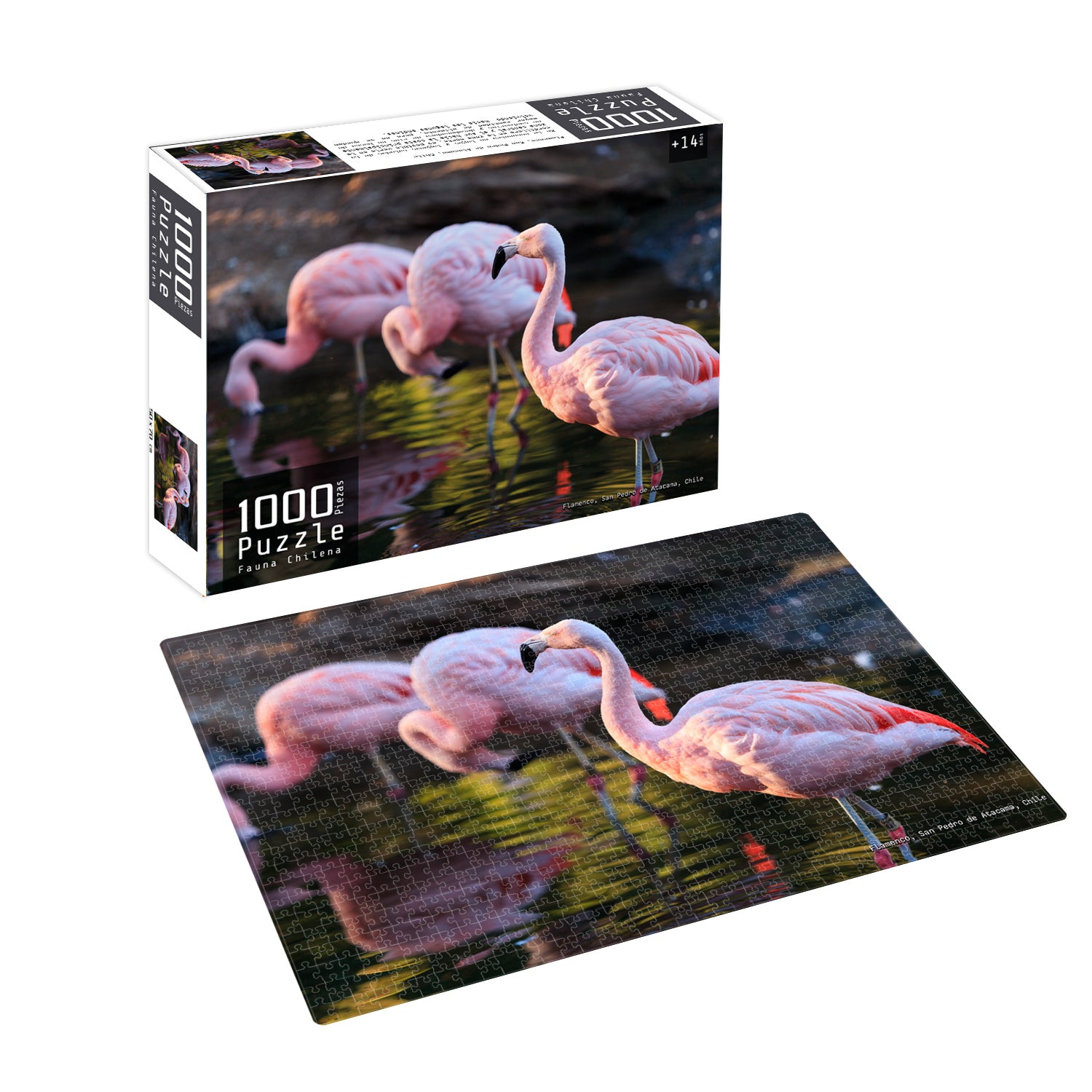 Puzzle 1000 Piezas Fauna Chilena Flamenco | Nobel Gift