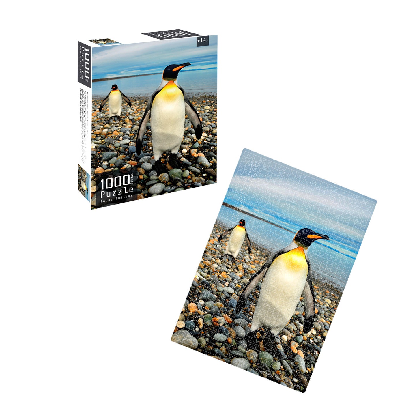 Puzzle 1000 Piezas Fauna Chilena Pingüino | Nobel Gift