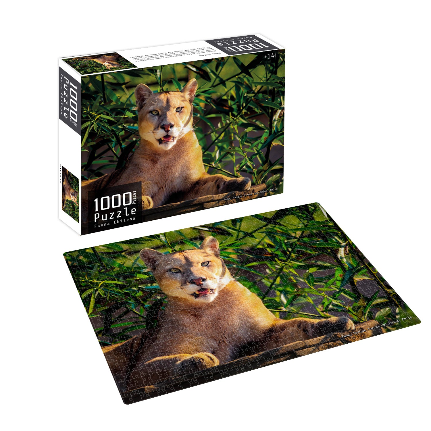 Puzzle 1000 Piezas Fauna Chilena Puma | Nobel Gift