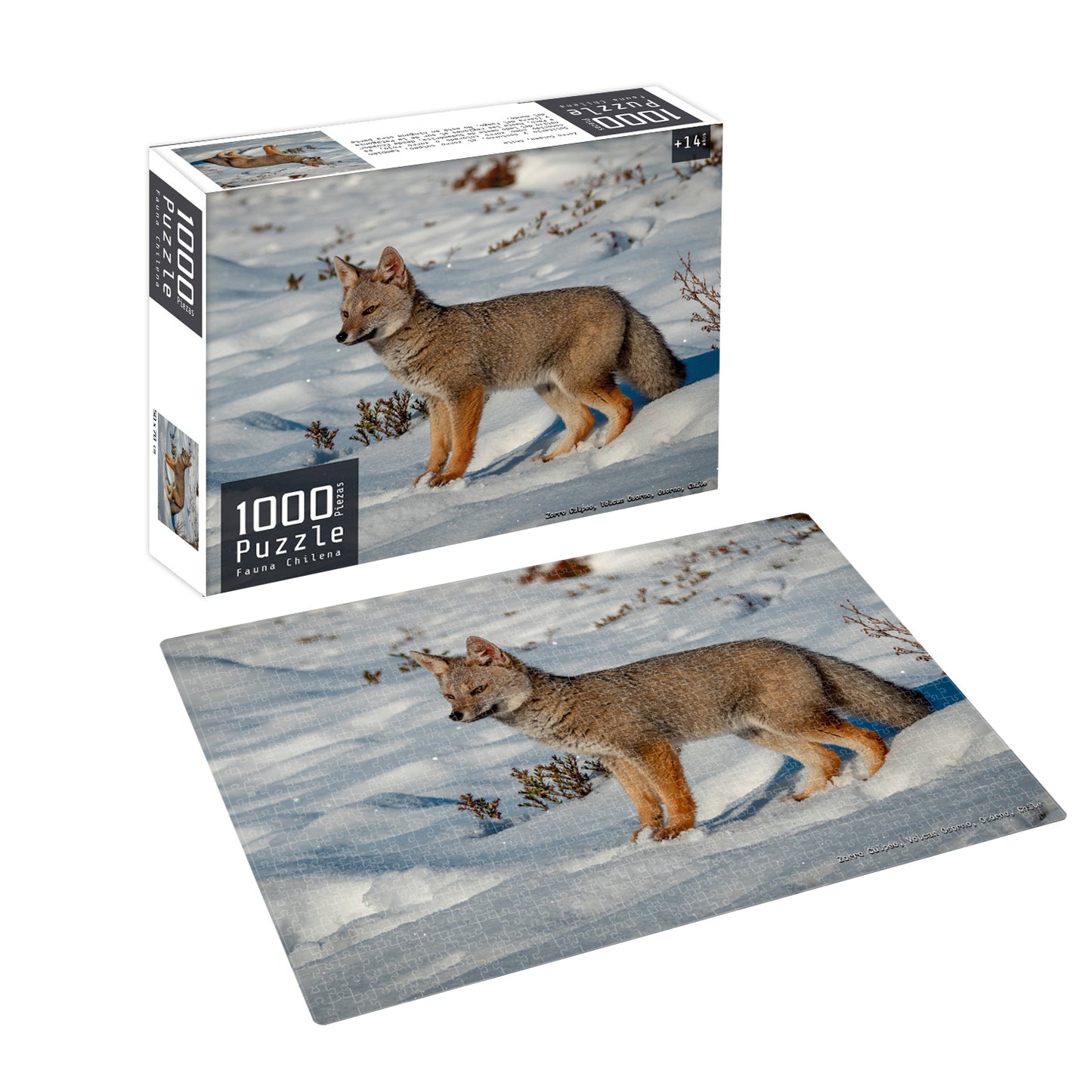 Puzzle 1000 Piezas Fauna Chilena Zorro | Nobel Gift
