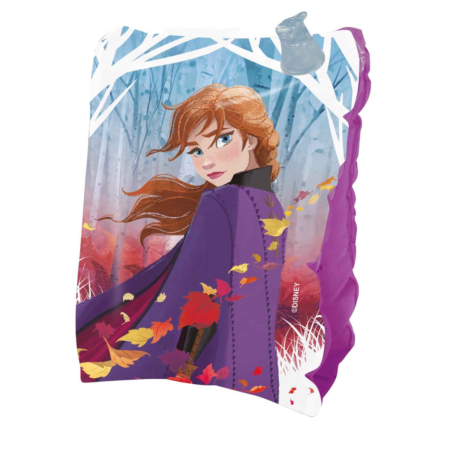 Flotador Alitas 20x15 cm | Frozen Disney
