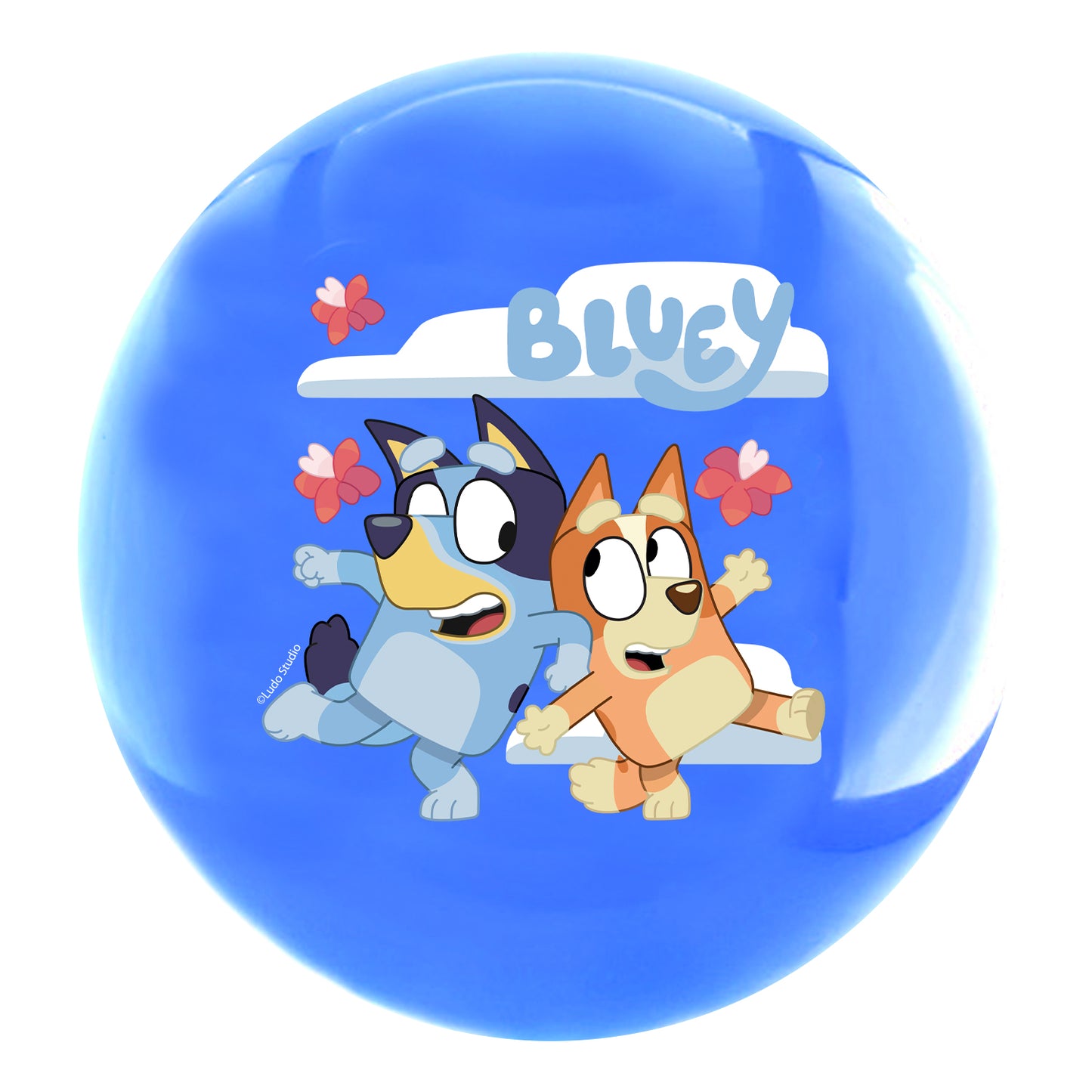 Pelota De PVC 22 cm 4 Colores | Bluey