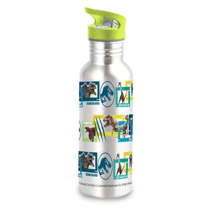 Botella Aluminio 600 ml | Jurassic World