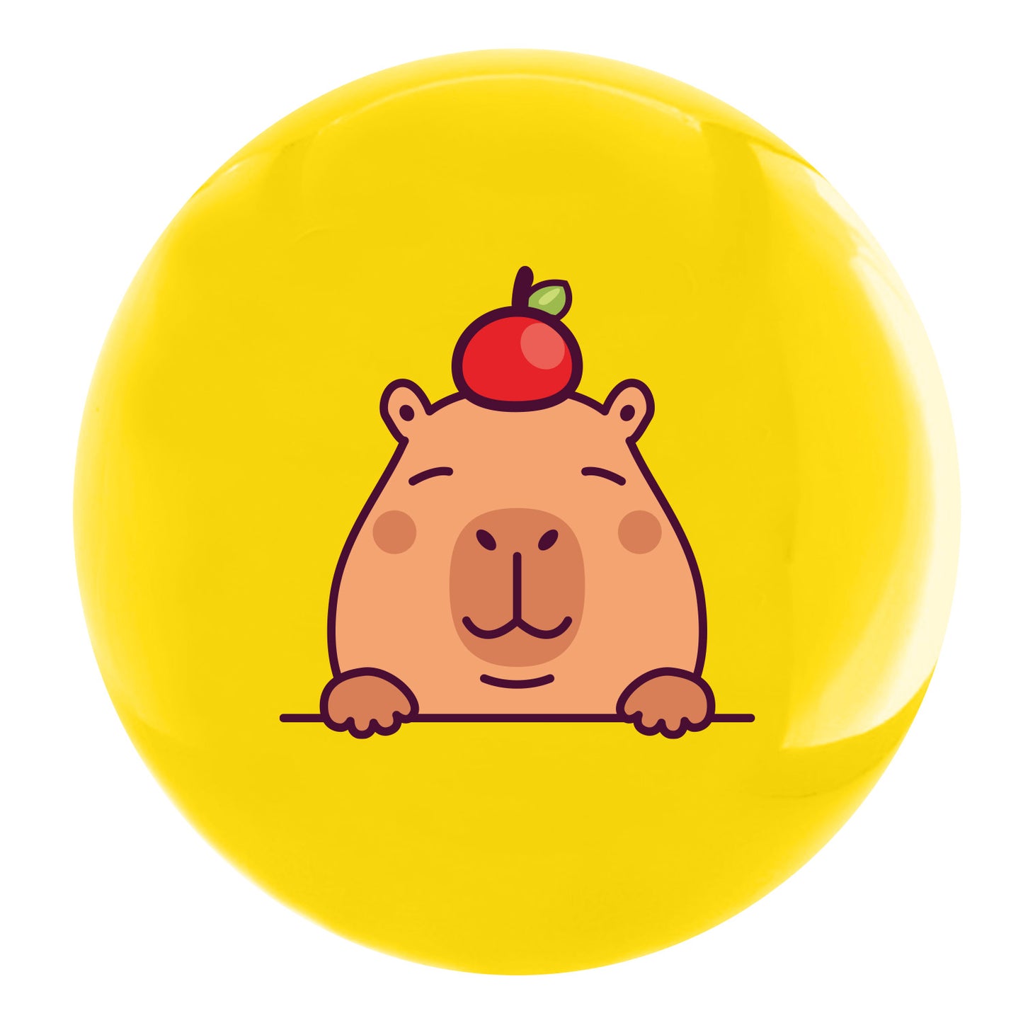 30 Pelotas De PVC 22 cm 4 Diseños | Capibaras