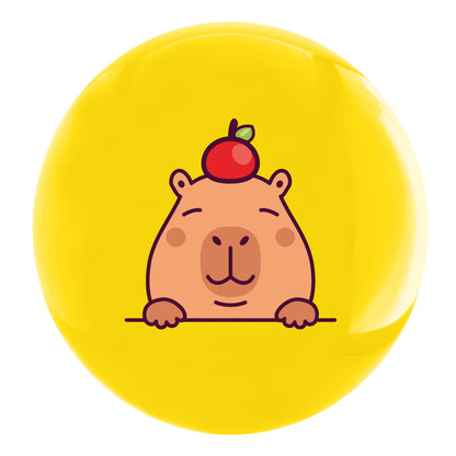 30 Pelotas De PVC 22 cm 4 Diseños | Capibaras