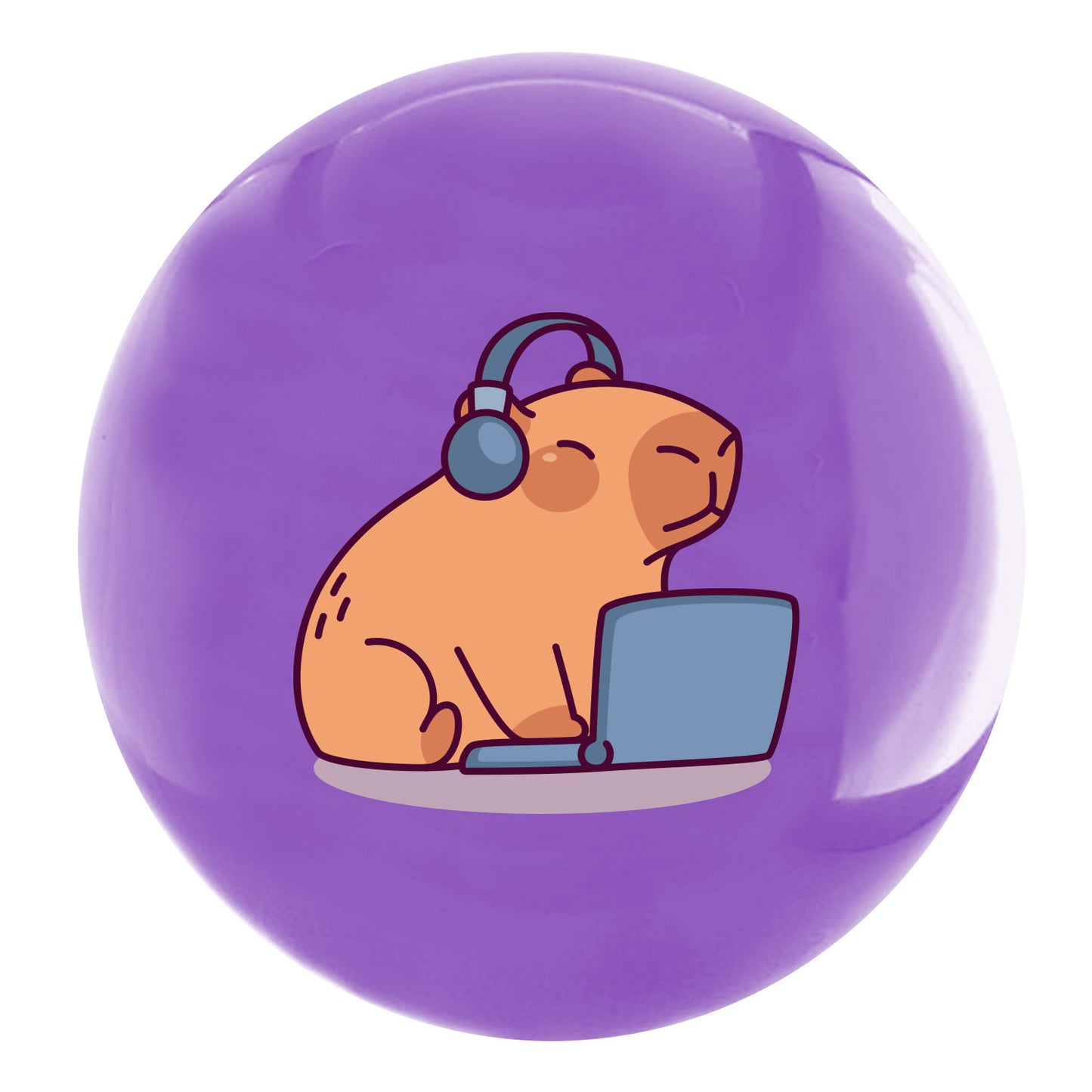 30 Pelotas De PVC 22 cm 4 Diseños | Capibaras